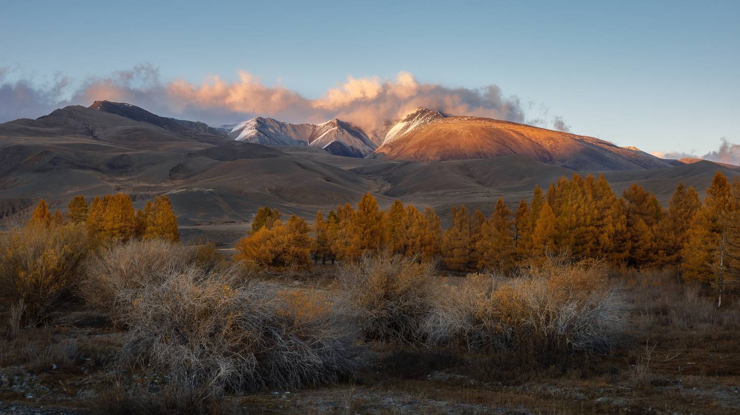 Здесь и сейчас. Автор: Мозжухин Максим , Мозжухин Максим