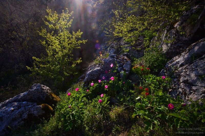 пейзажемагьё, пейзаж-как-виденье Светариум Весны …photo preview