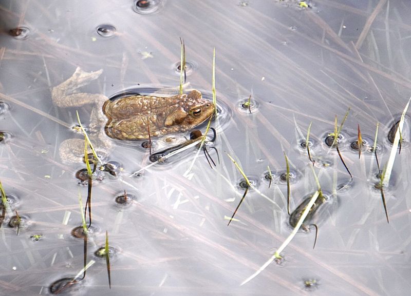 На охотеphoto preview