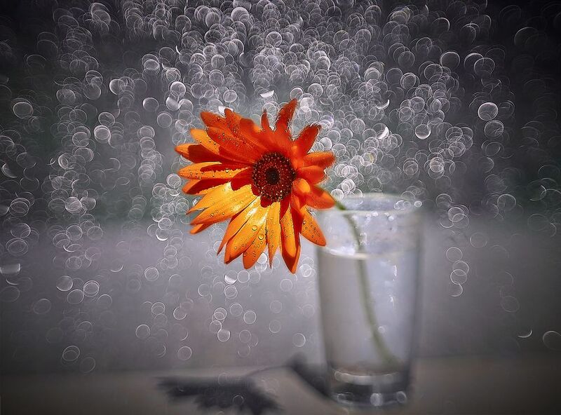 ... фото превью