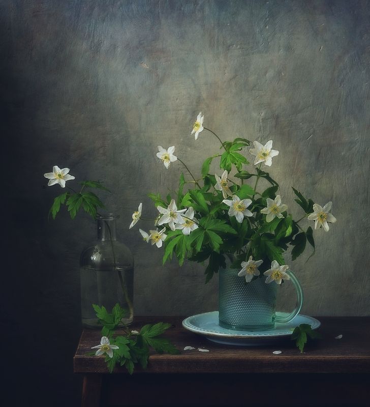 натюрморт,весна,цветы,анемоны,ветреницы с ветреницами...photo preview