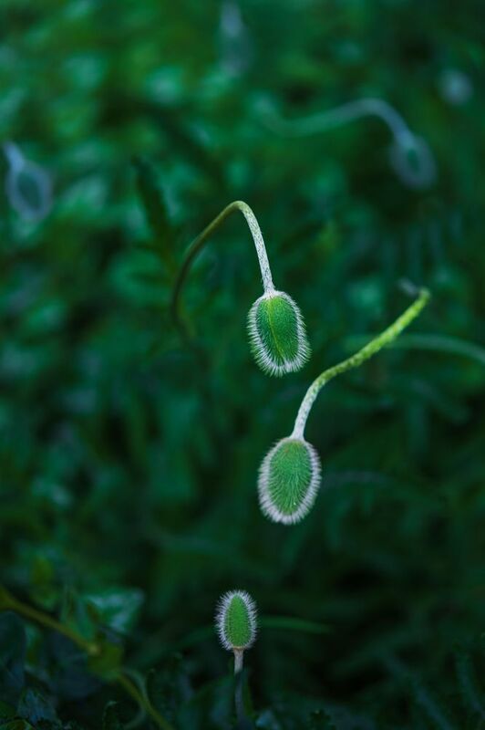 Семьяphoto preview