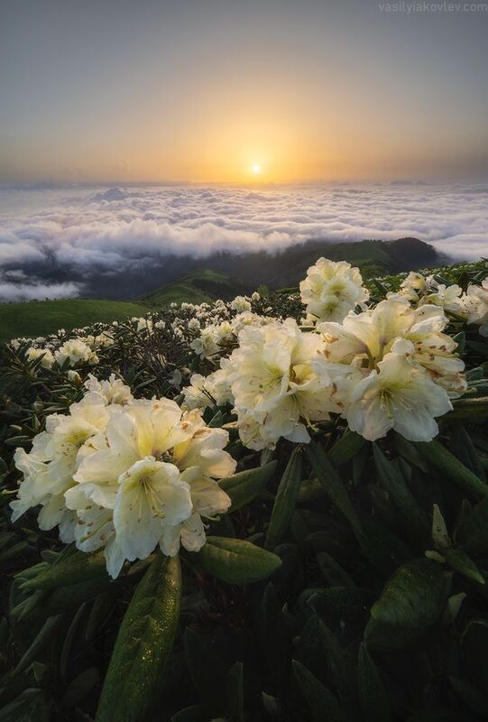 тхач, большой тхач, фототур, яковлевфототур, кавказ, адыгея Волшебное утроphoto preview