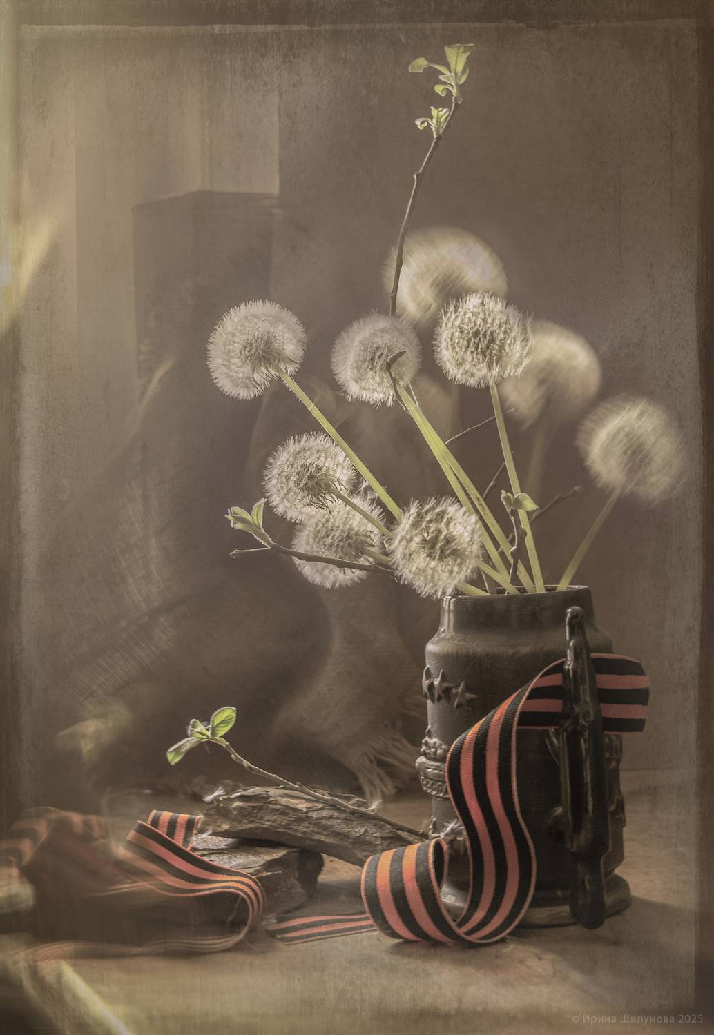 , Шипунова Ирина