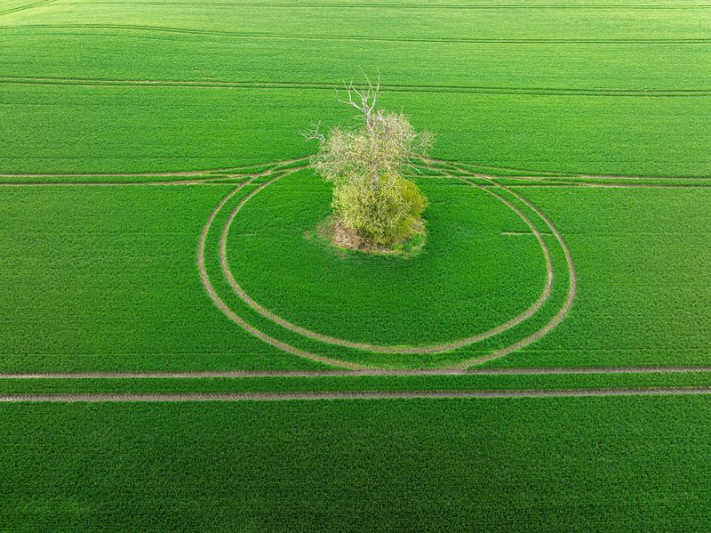 Начало мая фото превью