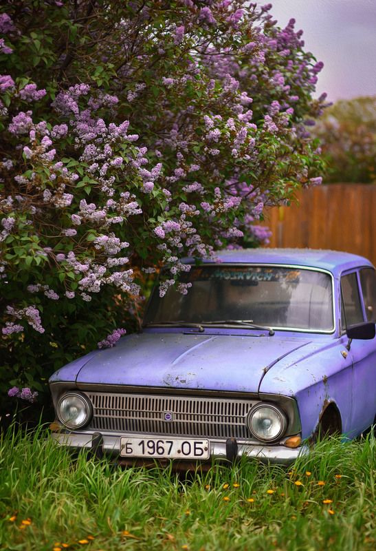 Старушка...photo preview