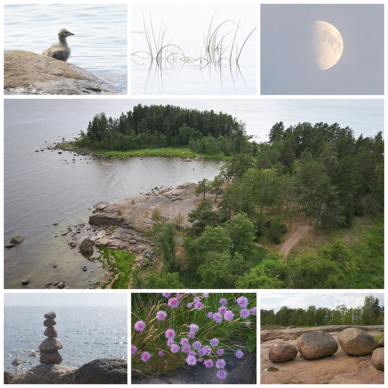 Кивипарк. Экотропа побережья Финского заливаphoto preview