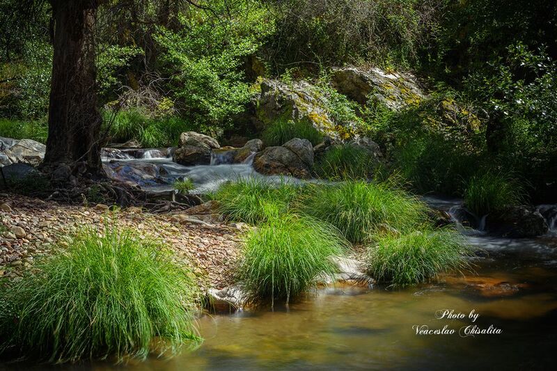 #природа #горныйручей #живописно #горы #поход #летовгорах #пейзаж #тишина #свежийвоздух #диканатура #поток #зелень #вода #горнаярека #природнаямагия #nature #mountainstream #greenescape #hikingadventures #naturevibes #wildwater #earthmood #sereneviews #la Тишина, которую слышно ??photo preview