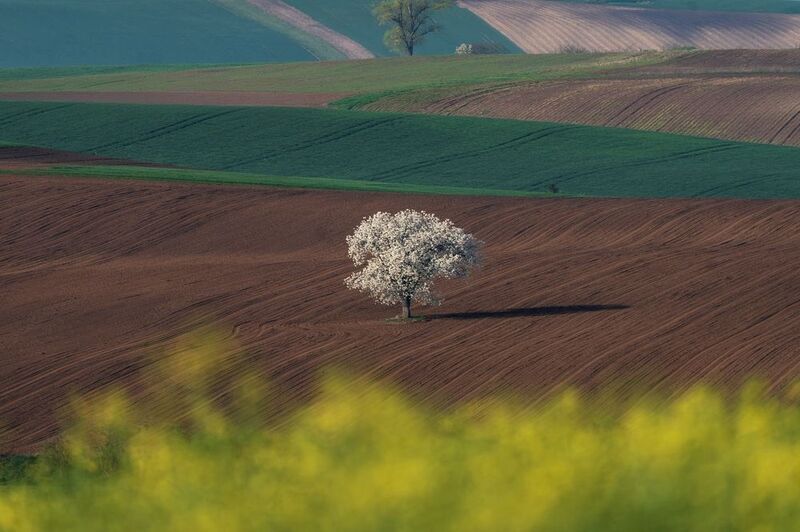 Моравияphoto preview