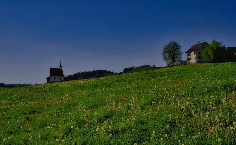 swiss ***photo preview