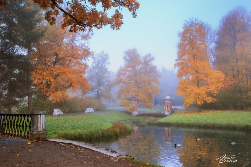 санкт-петербург, екатерининский парк, осень Екатерининский паркphoto preview