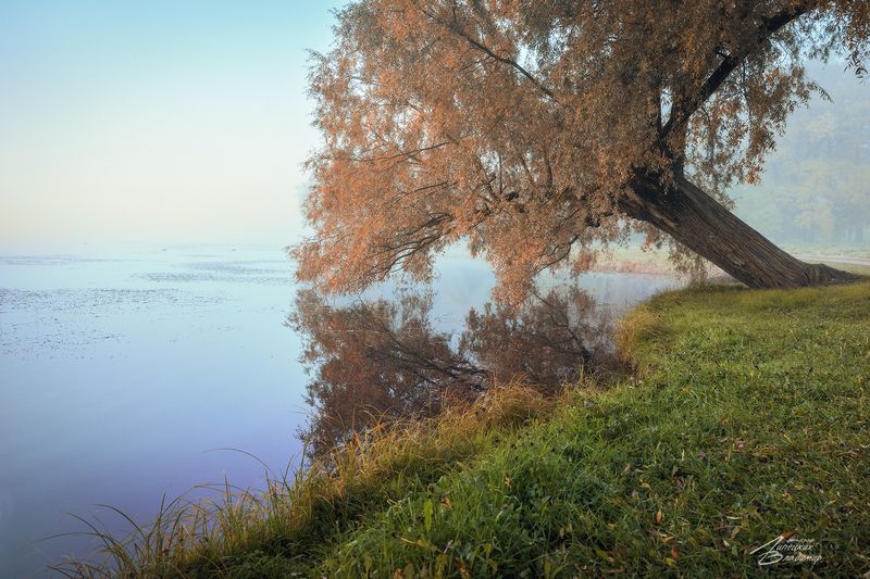 санкт-петербург, екатерининский парк, осень, большой пруд Екатерининский паркphoto preview