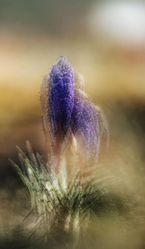 Долгие проводыphoto preview