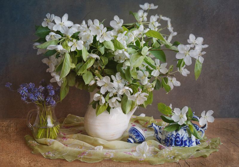 С цветами яблони фото превью