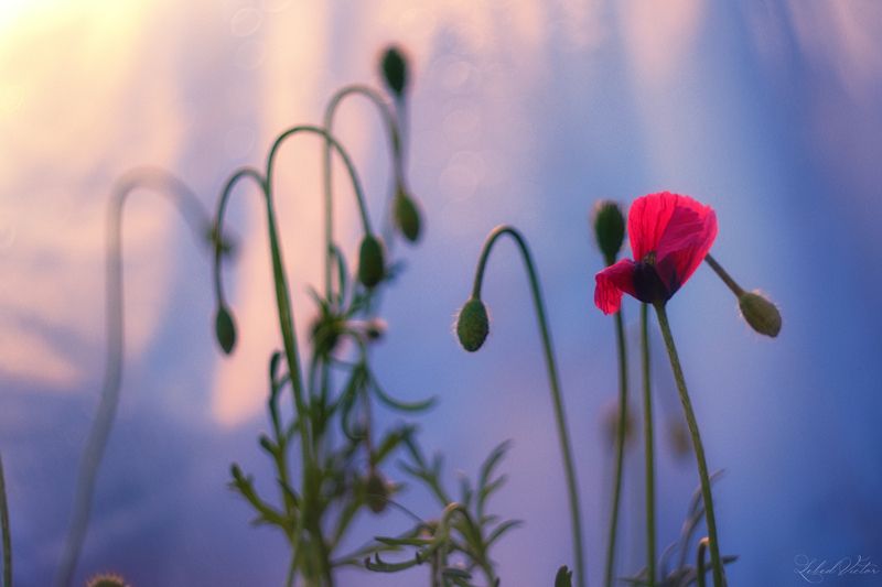 Грустно одномуphoto preview