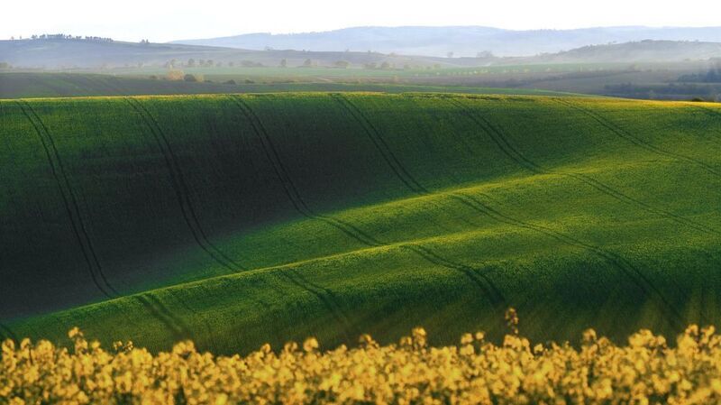 Поля Моравииphoto preview