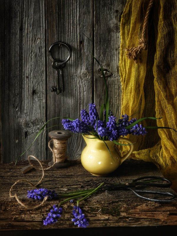 натюрморт, цветы, мускари Мускари фото превью