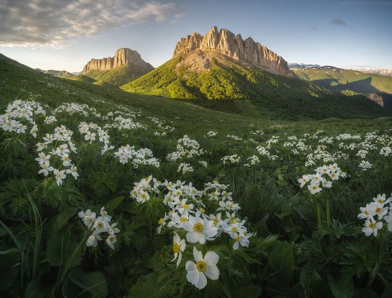 тхач, большой тхач, фототур, яковлевфототур, кавказ, адыгея Утренние Ачешбокиphoto preview