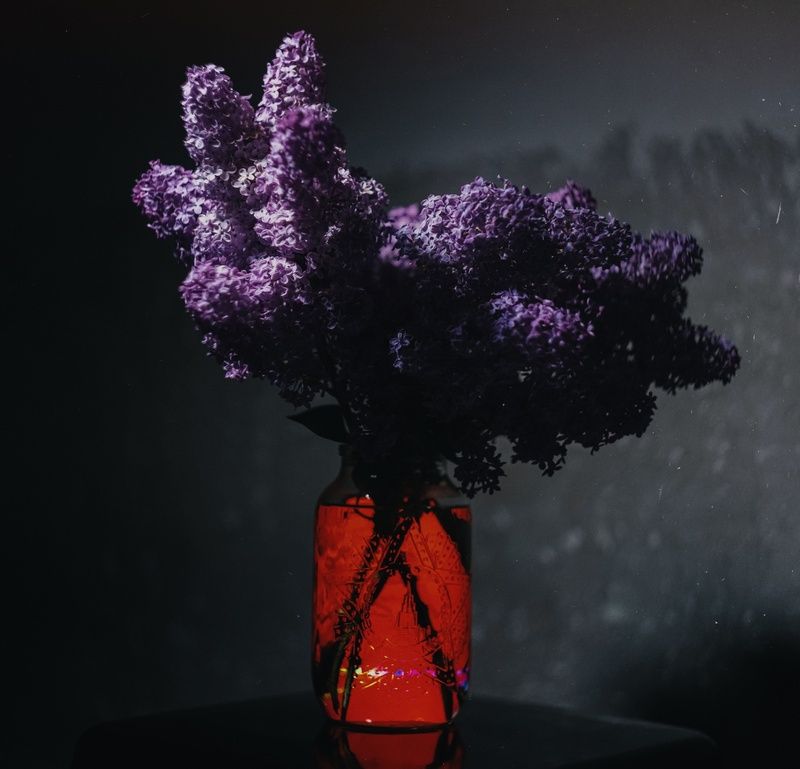 натюрморт, сирень, букет, победа, великая победа, символ, сирень победы, красота, память, подвиг, величие, праздник, винтажная оптика, мануальное, гелиос 44-2, керчь, крым, россия Сирень Великой Победы.photo preview