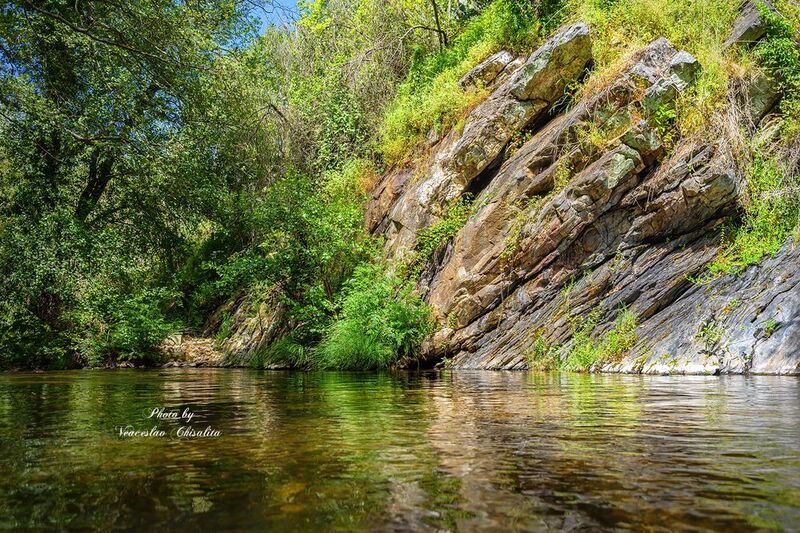 #природа #горныйручей #живописно #горы #поход #летовгорах #пейзаж #тишина #свежийвоздух #диканатура #поток #зелень #вода #горнаярека #природнаямагия #nature #mountainstream #greenescape #hikingadventures #naturevibes #wildwater #earthmood #sereneviews #la Танец воды и скалphoto preview