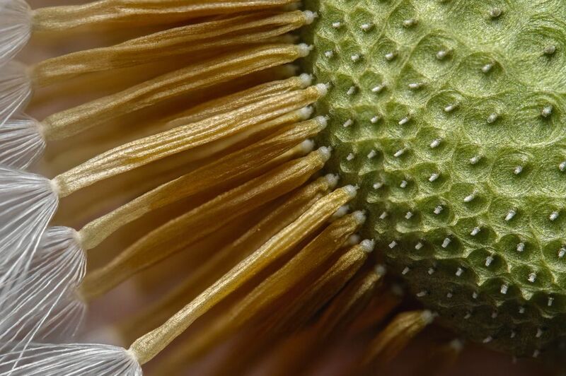 Solar wheel :)photo preview