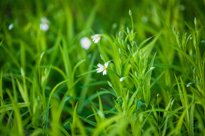 Весна пришла! фото превью