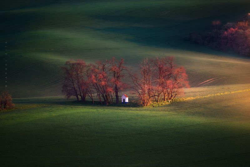 czech, moravia, landscape, green, rollinghills, trees, land, fields, agriculture, europe, lights, Lttle Chapelphoto preview