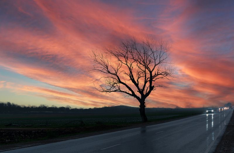 Дождливый вечерphoto preview