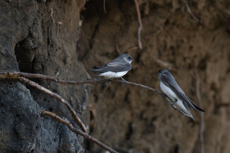 Жилищный вопросphoto preview