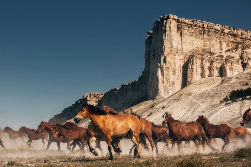 western на фоне белой скалыphoto preview