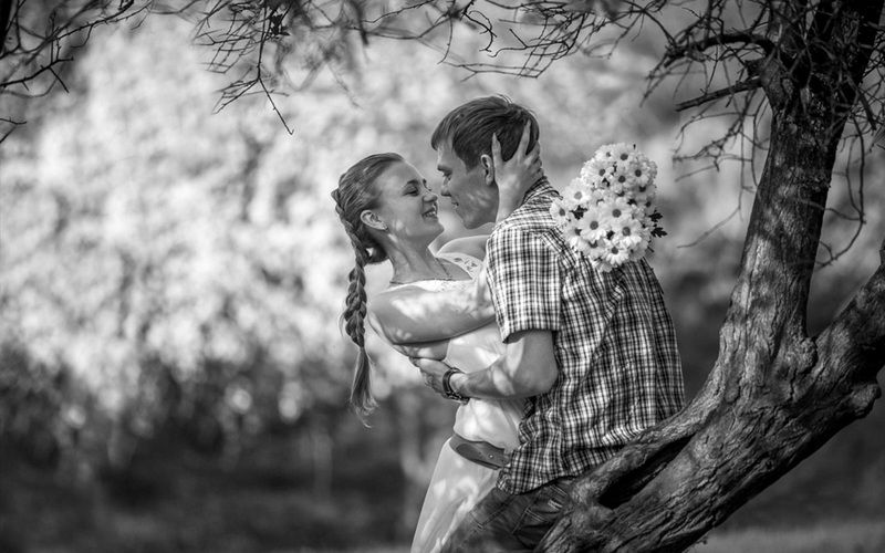 История любвиphoto preview