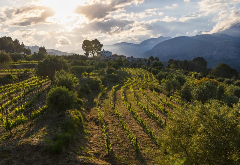 Вечерний пейзажphoto preview