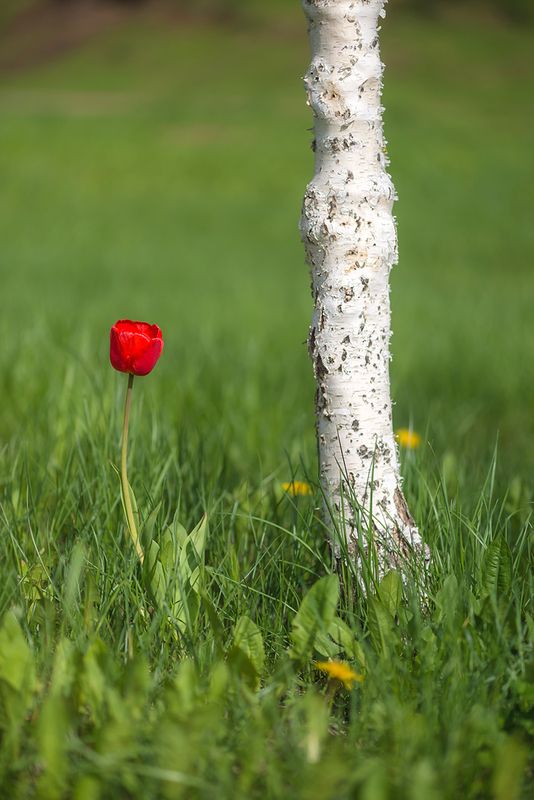 Разговор о вечномphoto preview
