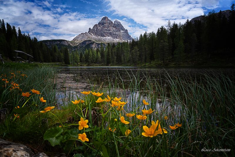 nature landscape lake auronzo di cadore italy dolomites Spring at D\\\'Antorno lake фото превью