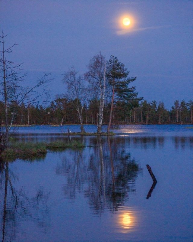 Вчерашний вечер на прудуphoto preview