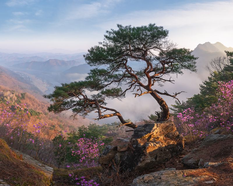 Gangseonbong on a spring dayphoto preview