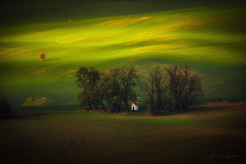 czechia, moravia, moravian, landscape, fields, green, hills, rollinghills, countryside, farmland, nature, scenic, sunlit, europe, rural, agriculture, spring, summer, panoramic, peaceful, tranquil, scenicview Spring Out of Nowherephoto preview