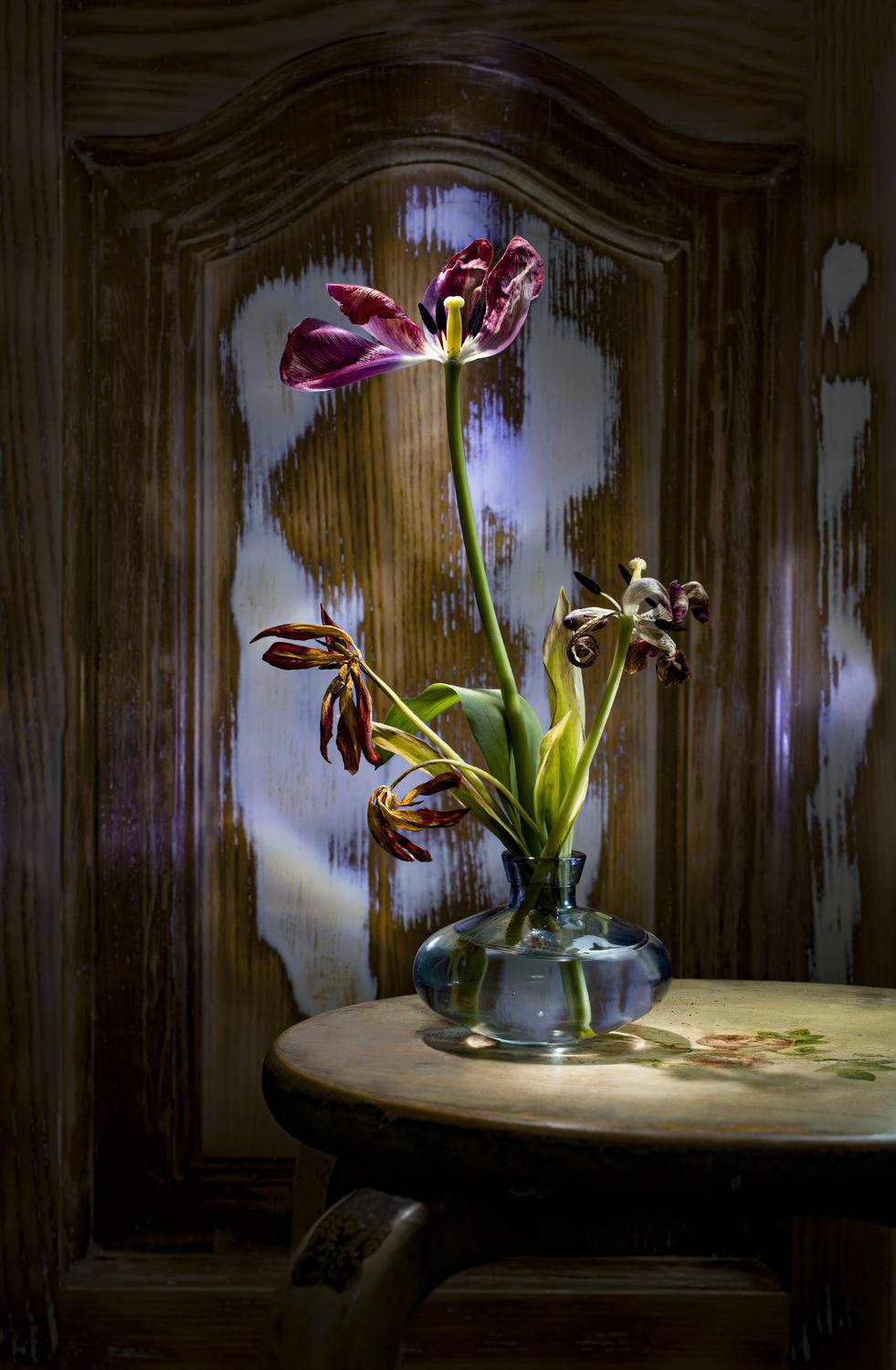 Автор: Черновол Валентин , Черновол Валентин