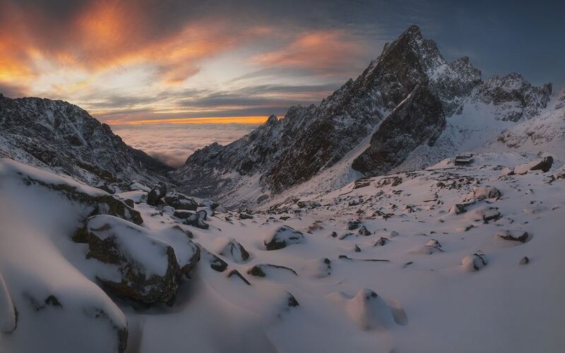 Sugarcoatphoto preview