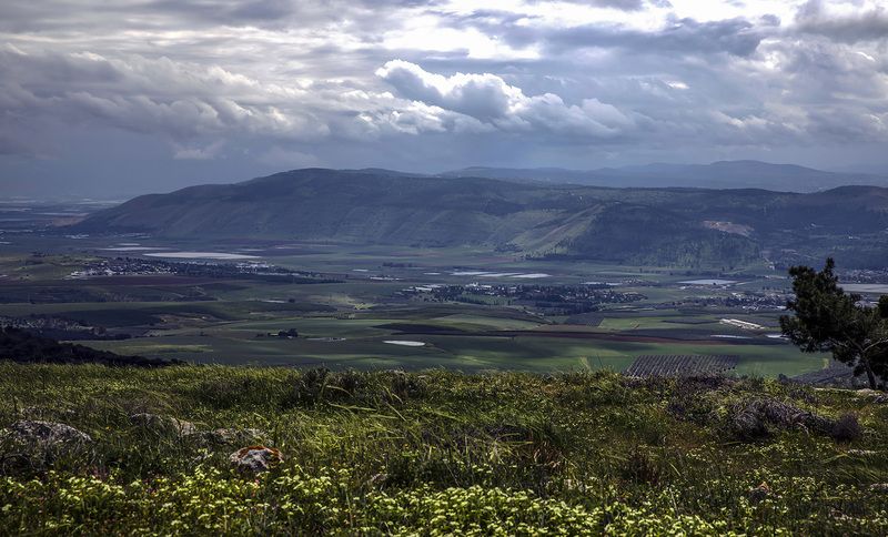 голанские высоты Веснаphoto preview