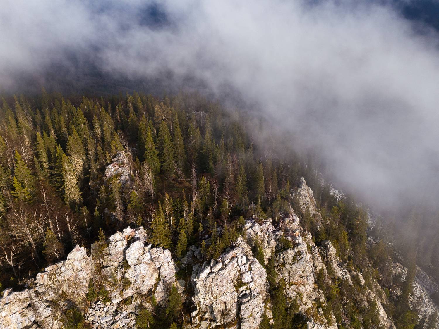 , Чевтаев Егор