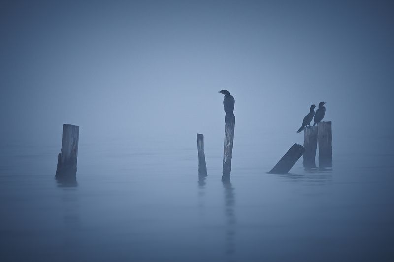 2024-10-26photo preview