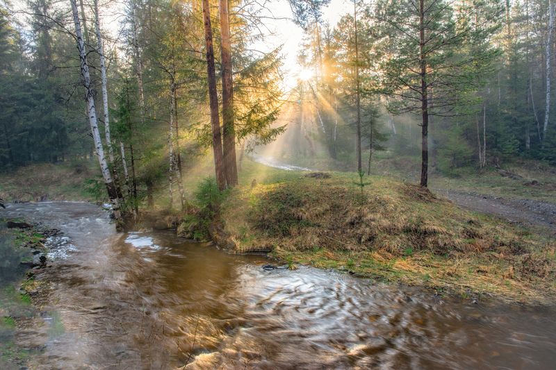 Вечерние лучиphoto preview