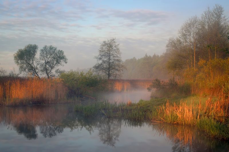 Майское утроphoto preview