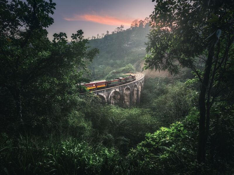 Путешествие через джунгли, Шри-Ланка фото превью