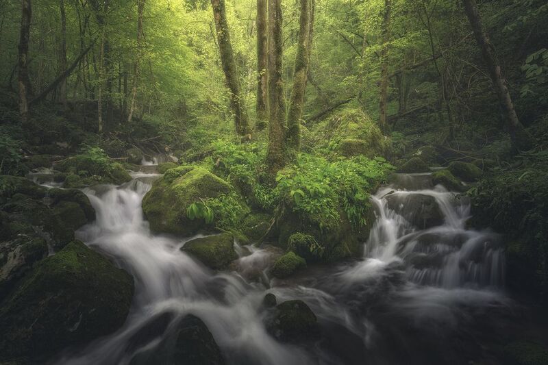 The Morning Afterphoto preview