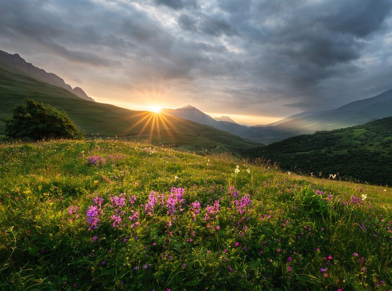 Северная Осетия. Перевал между Фиагдоном и Даргавсом.photo preview