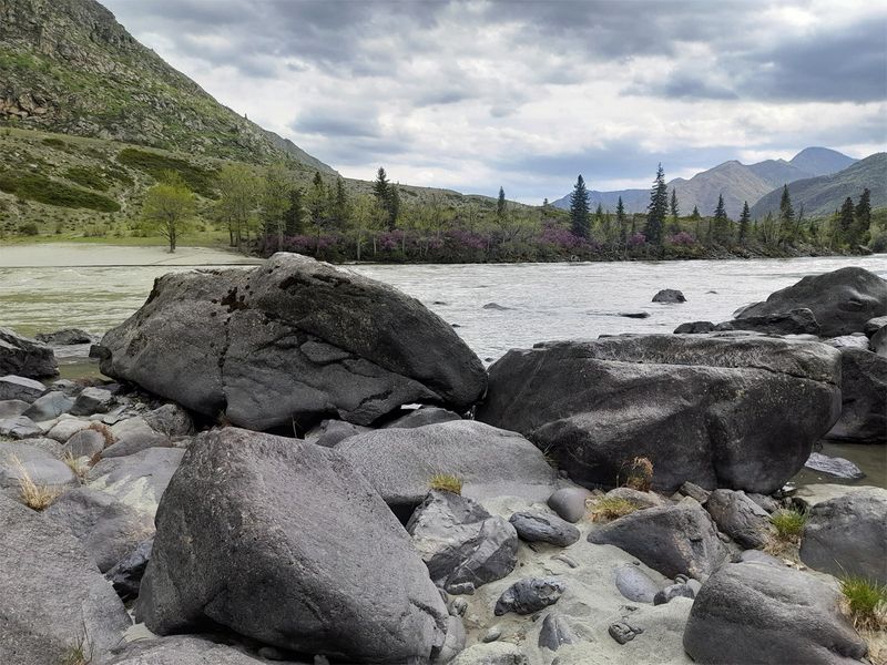 Горный Алтай, урочище Кур-Кечуphoto preview