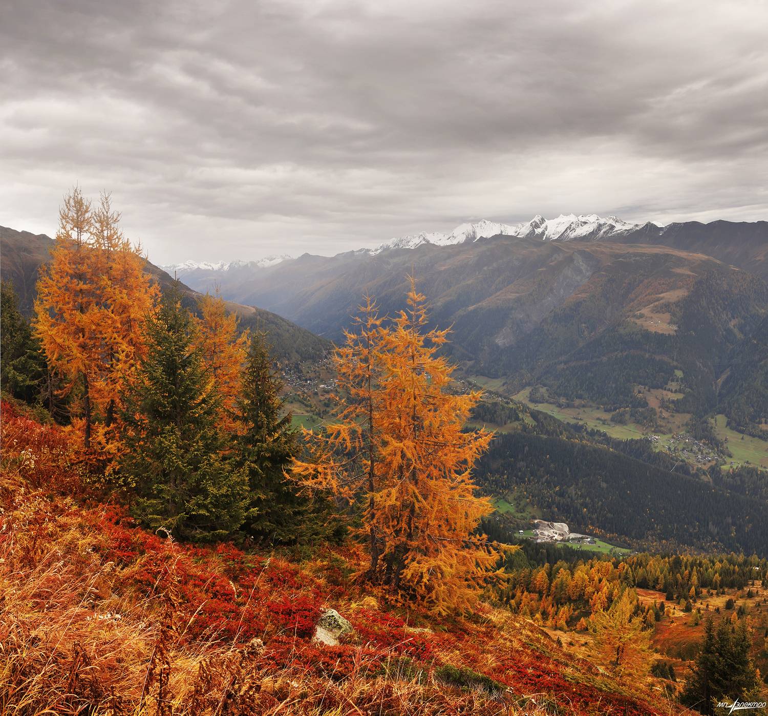 ***. Автор: Матвеев Николай swiss, Матвеев Николай