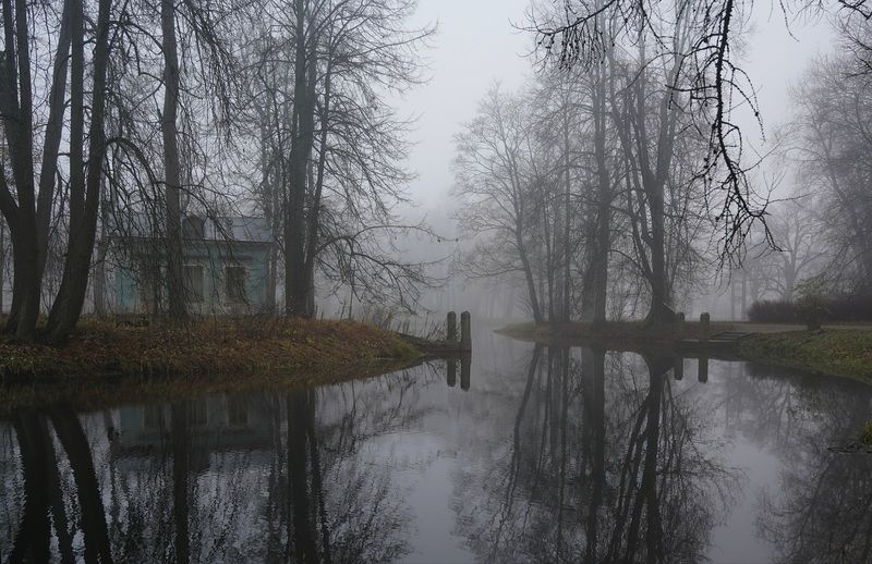 Morning photo preview